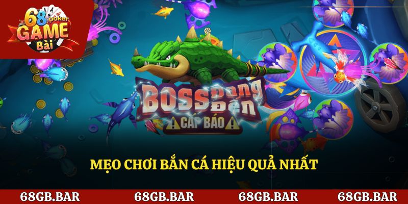 Mẹo chơi bắn cá hiệu quả nhất